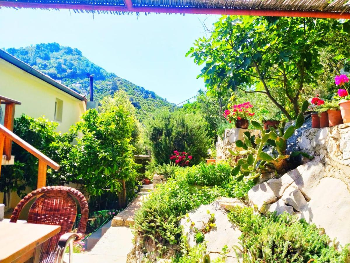 Villa Anita Sobra Buitenkant foto