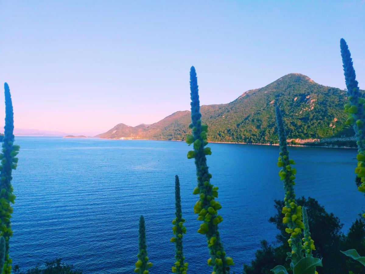 Villa Anita Sobra Buitenkant foto